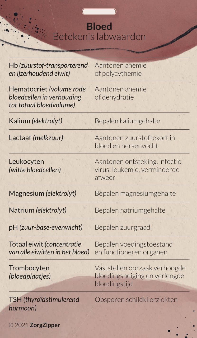 Bloed: betekenis labwaarden, achterkant