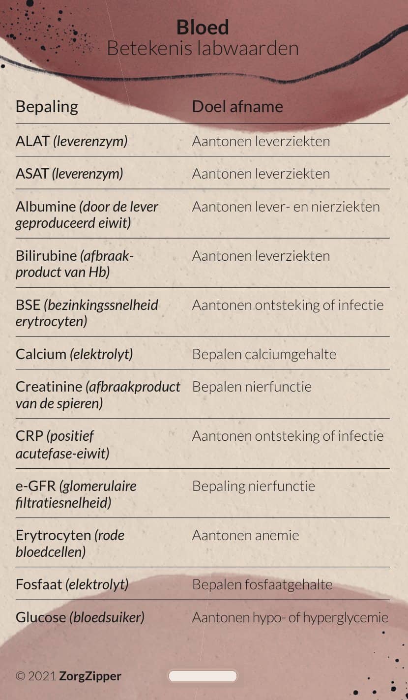 Bloed: betekenis labwaarden, voorkant