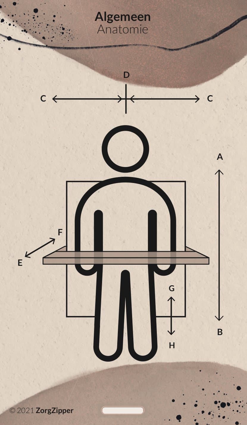 Algemeen: anatomie