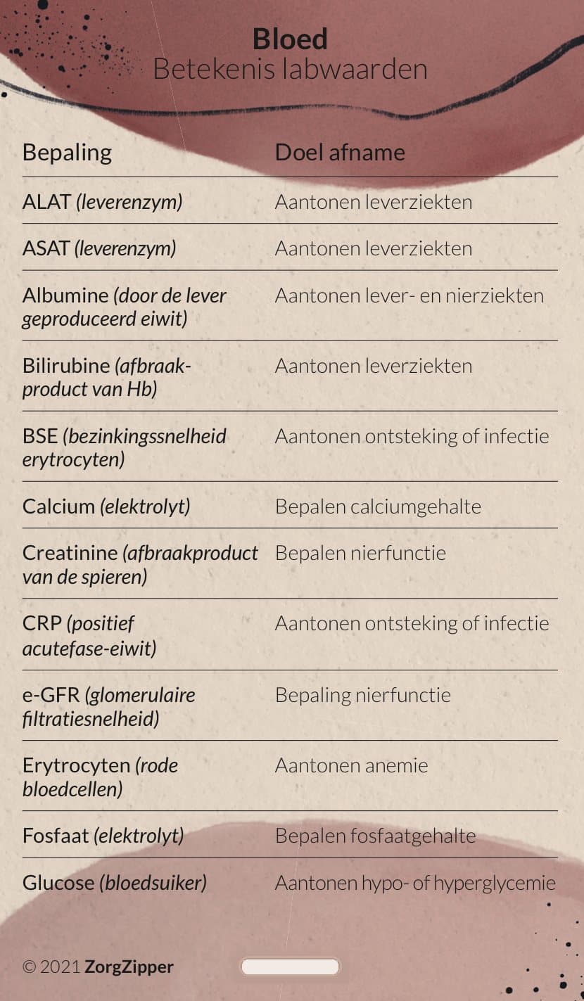 Bloed: betekenis labwaarden