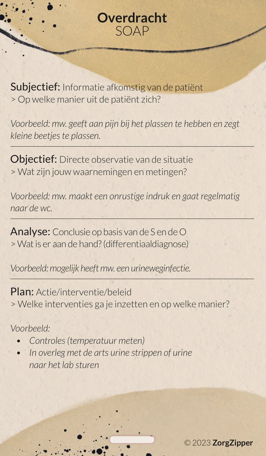 Overdracht: SOAP & 11 patronen van Gordon