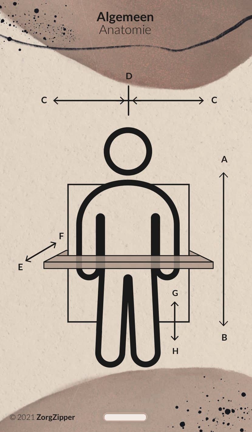 Algemeen: anatomie