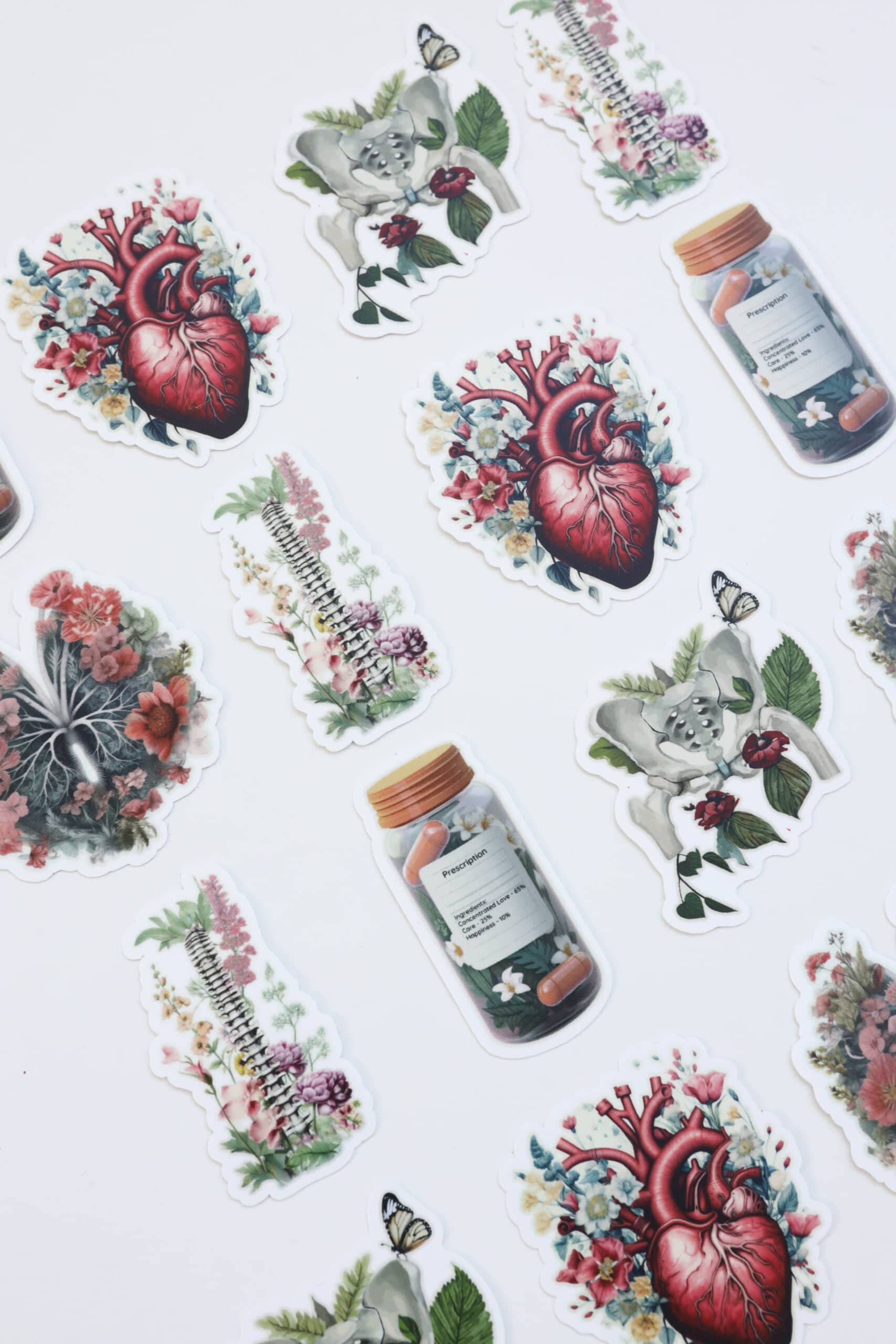 Anatomie stickers