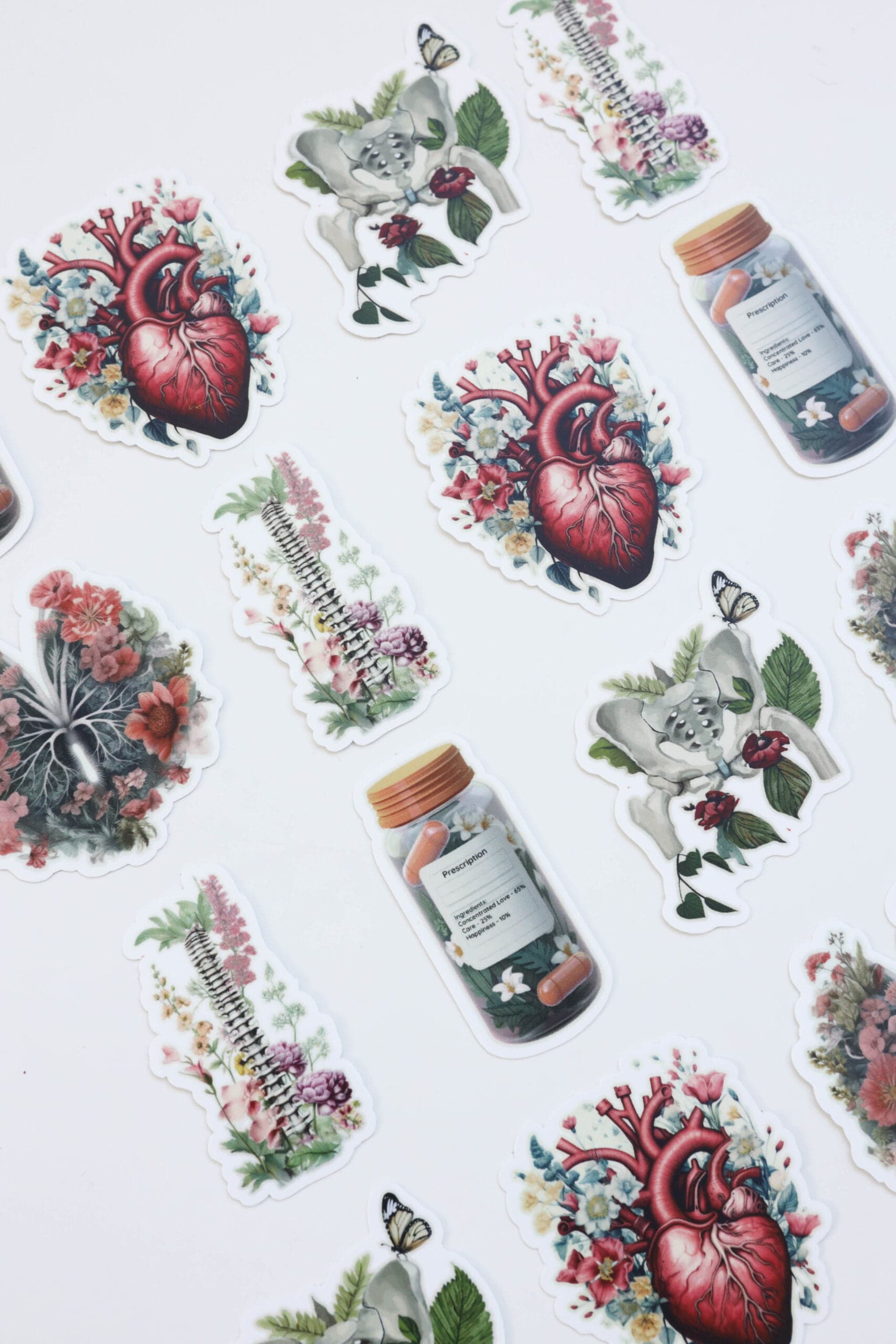 Anatomie stickers, foto 1